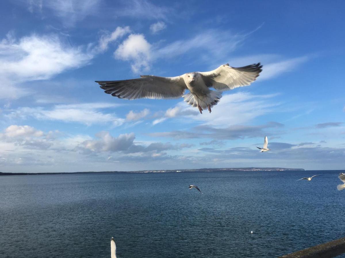 Fewo Im Seepark Sellin  Dış mekan fotoğraf